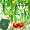 LZMDISU Grigliato da giardino per piante rampicanti - Robusta rete per cetrioli/verdure per piante rampicanti, piselli verdi, pomodori, piante di vite, rete per la crescita all'aperto (2,7 x 1,8 m)