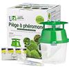 Achat nature - Kit trappola + feromone pirale del bosso