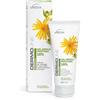 VEBI ISTITUTO BIOCHIMICO SRL DERMOLINE GEL ARNICA 10% 100ML