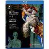 Accentus Bruckner: Symphony No. 5 in B Flat Major (Abbado) (Blu-ray)