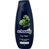 Schauma For Men