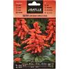 Semillas Batlle Salvia Semi Nano compac Rosso
