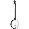 Gold Tone AC-1 Banjo With Bag
