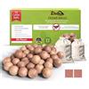Zidina 50 Palline di tarme Naturali per Guardaroba, Protezione antitarme per Guardaroba, Anti tarme, Senza Sostanze chimiche e riutilizzabili, Contro Le tarme, Cedar Balls