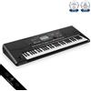 KORG Pa300 Sintetizzatore Tastiera Elettronica 61 Tasti Arranger Professional...