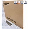 Roland CUBE Street EX Amplificatore stereo a batteria 50 W nero CUBEStreetEX JP