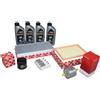 Febi Bilstein Kit Ispezione 1,25 + 1,4 16V Ford Fiesta Inkl. 4L 5W30 Motorcraft 54433444
