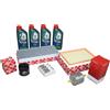 Febi Bilstein Kit Ispezione 1,25 + 1,4 16V Ford Fiesta Incl. 4 Litri 5W30 Castrol Olio