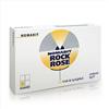 NAMED NOMABIT ROCK ROSE GL 6G