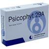 PSICOPHYT REMEDY 29A 4TUB 1,2G