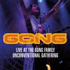 G-Wave Gong: Live at the Gong Family Unconventional Gathering (DVD) Gong