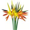 Rikyo Strelitzia - Fiori artificiali multicolore, 6 pezzi, uccelli del paradiso 58,4 cm, fiori permanenti, pianta tropicale imitazione mazzi di fiori per ufficio, casa, feste, piante in vaso (giallo