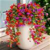 Aisamco 4 Fiori Appesi Esterno UV Resistente | Seta finta, Foglie eucalipto, Fioriera esterna, Portico patio balcone, Vigne appese