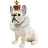 Kare Statuetta decorativa di design King Dog, bianca, scimmia, King Kong, poliresina, unica, dipinta a mano, resistente agli spruzzi, 33 x 26 x 16 cm (altezza x larghezza x profondità)
