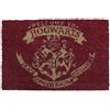 Harry Potter Welcome To Hogwarts Unisex Zerbino multicolore PVC
