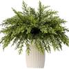 KKSTY 30 rami artificiali di pino natalizi, 28 cm di verdure artificiali realistiche, finte punte di cedro per fioriere, decorazioni fai da te, ghirlande, decorazioni per Natale, interno ed esterno
