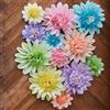 Homarkable Fiori di carta color pastello, 12 pezzi, fiori decorativi in carta crespa, 15,2 cm, 25,4 cm, per feste di nozze, baby shower, carnevale, decorazione da parete