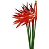 Rikyo Strelitzia - 6 fiori artificiali, motivo uccello del paradiso, 58,4 cm, fiori permanenti, piante tropicali, per ufficio, casa, feste, disposizione, piante in vaso (arancione)