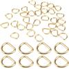 AetherAurora 30 Pezzi Anello a D in Metallo, Anelli a D da 20 mm x 3,8 mm Spessore | D-Ring Multiuso, Fibbia ad Anello a D, per Borsa, Zaino, Cinture, Portachiavi, Collari, Moschettoni, Accessori Fai Da Te
