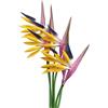 Rikyo Strelitzia Fiori artificiali multicolori, 6 pezzi di uccelli del paradiso fiori permanenti da 58,4 cm, imitazione tropicale, per decorazioni per ufficio, casa, feste, piante in vaso (viola giallo)