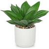 Oairse Pianta di agave artificiale, 21 cm, realistica, in vaso, decorativa, in vaso di ceramica, piante artificiali per interni, per casa, ufficio, bagno, camera da letto, mensola