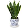 Briful Sansevieria Artificiale Pianta da Interno Pianta Artificiale Decorativa in Vaso di Ceramica Bianca Bianco Altezza 40,6 cm (Verde Blu)