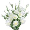 Grand Verde Eustoma Fiori artificiali lunghi 76,2 cm, rose finte per la festa della mamma, bouquet dozzina di teste in seta fiorite fai da te, decorazioni per la casa, 4 pezzi (bianco)