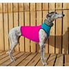 Galguita Amelie Amelie Peto - Lycra per Galgo, taglia L, colore: rosa e blu