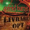 Gabriel Burns 40/Livrare Opt (CD)