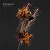 Various Artists Fabriclive 94: Mixed By Midland (CD) Album