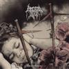 Immortal Bird Sin Querencia (CD) Album (Jewel Case)
