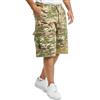 Brandit BDU Ripstop Shorts, Color: tactical c, Size: S