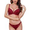 SHEKINI Completi Intimi da Donna Sexy Lingerie Push up Reggiseno e Slip in Pizzo Elegante Reggiseno con Ferretto Fisso Imbottitto Tracolla Regolabile
