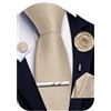 Ailisus Cravatta a righe e fazzoletto, fermacravatta e gemelli da bavero, set formale da 5 pezzi