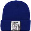 Goorin Bros. Goorin Berretto 107-0132 Tiger Col royal Royal/TU