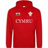 Purple Print House Cymru Flag Badge Felpa con cappuccio Unisex Principe di Galles Piume Uomo Donna Rugby Hoody, Rosso, L