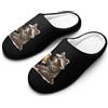 Generic Raccoon Bere Birra Uomo Cotone Pantofole Lavabili Casa Slipper Indoor Outdoor Scarpe per Uomo