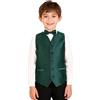 Alizeal Set da 3 pezzi con papillon, cravatta e gilet, tinta unita, classico con cravatta e gilet, 078-verde scuro, 8