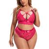 Aranmei Set di Lingerie Taglia Grande per Donne Reggiseno in Pizzo e Mutandine Set di Reggiseno Sexy Bralette, XL