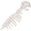 Qianly Accessori realistici per costume da scheletro di dinosauro per Halloween, cosplay.