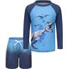 Aisyee Boys Swimming Costume Two Piece Swimsuit Set with Swimming Trunks Kids Long Sleeve Bathing Suit Swimwear