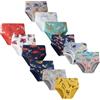 LeQeZe Slip Bambino in Cotone Intimo 4-5 Anni Mutande Ragazzo Confezione da 12 Pezzi (Boys Briefs 03,Etichetta del Produttore 120)