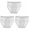 Saggio Map Set 3 o 6 Slip 5002 Modello Calibrato in Puro Cotone Jersey Elastico Infilato Uomo Taglie Forti BIANCO3PZ 6XL
