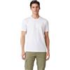 Aeronautica Militare T-Shirt Uomo TS2423 Tshirt Stampata Frecce Tricolori (IT, Testo, L, Regular, Regular, Bianco)