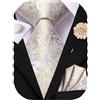 Hi-Tie Cravatte per gli uomini Pocket Square spille da bavero gemelli formali in seta intrecciata cravatta set festa di nozze, Beige Oro Fiore, 59 inches (150 cm) length, 3.3 inches (8.3 cm) width
