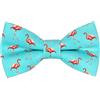 OCIA Papillon Uomo