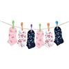 PETTI Artigiani Italiani - Calzini Bambina, 6 Paia di Calzini Corti Bambina, Calzini Bambino Corti Femminuccia, Calzini Bambina Cotone Filo di Scozia, 100% Made in Italy
