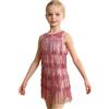 Kaerm Vestito Ballo Latino Bambina Abito da Ballo Latino Americano Bambina Vestito Danza Latina Bambine con Strass E Pennacchi con Sequine