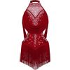 CHICTRY Abito da Pattinaggio Artistico con Frange Nappear da Bambina Ragazza Body Danza Classica Balletto Leotards con Paillettes Coustume da Danza del Ventre Borgogna A 15-16 anni