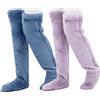 Ruarby 2 paia di calze invernali da donna spesse e pelose in peluche a tinta unita calde calze lunghe sopra il ginocchio scaldamuscoli in peluche ispessito calze alte coscia, C, Taglia unica